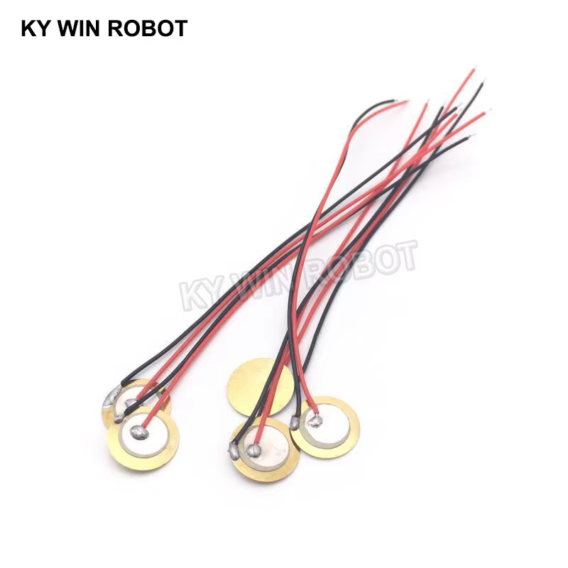 10 قطع من الرقائق السيراميكية  - مراجعة Diy Electronics Components وسعره